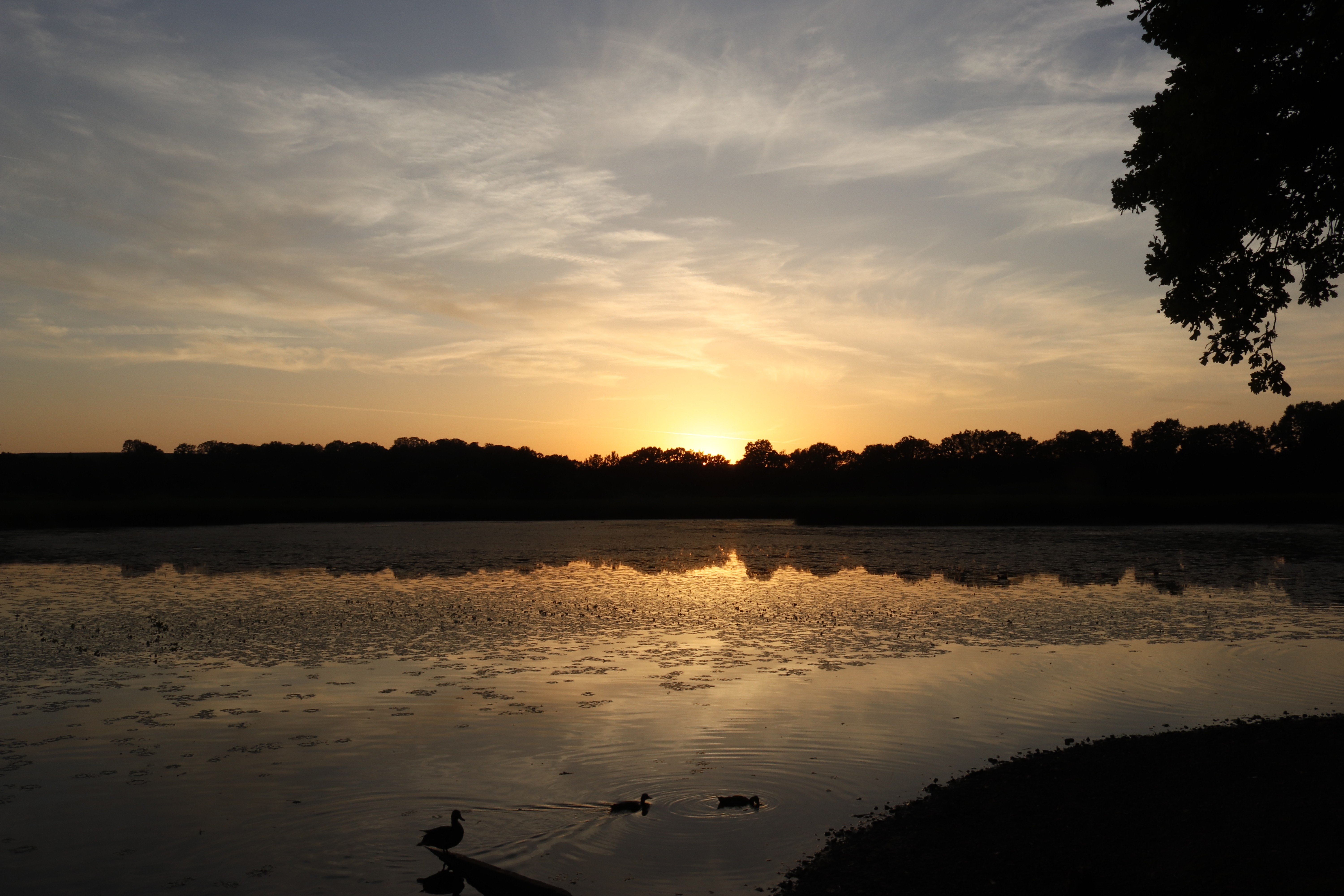 Ostrava - Lake Stepan